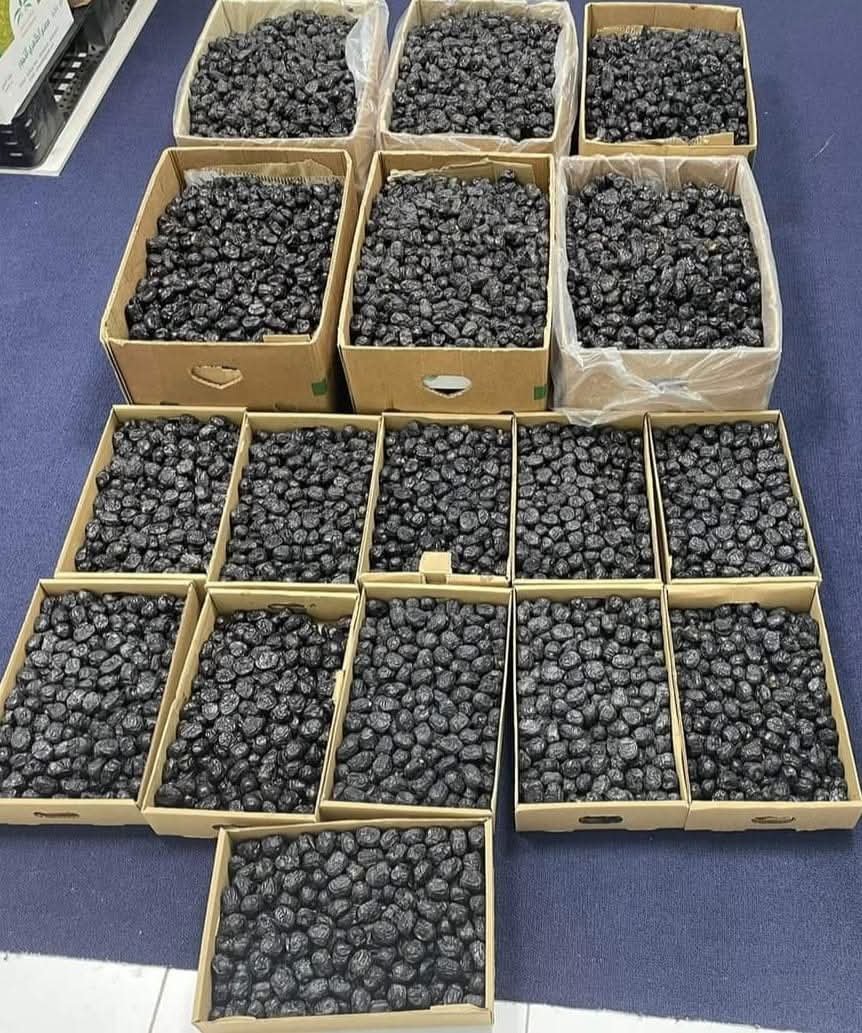 WhatsApp Image 2026-02-09 at 3.11.50 AM