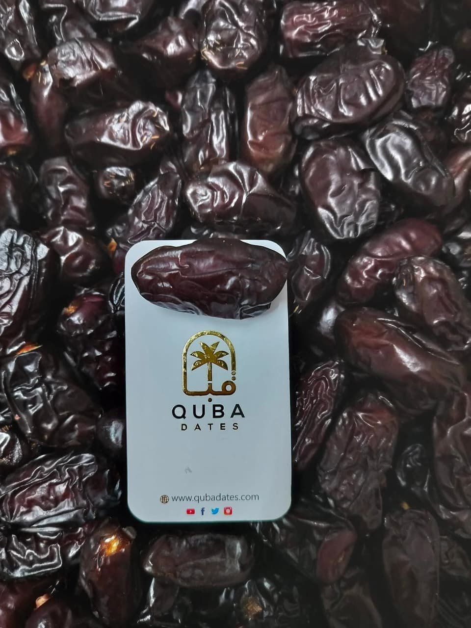 WhatsApp Image 2026-02-09 at 3.11.55 AM (2)