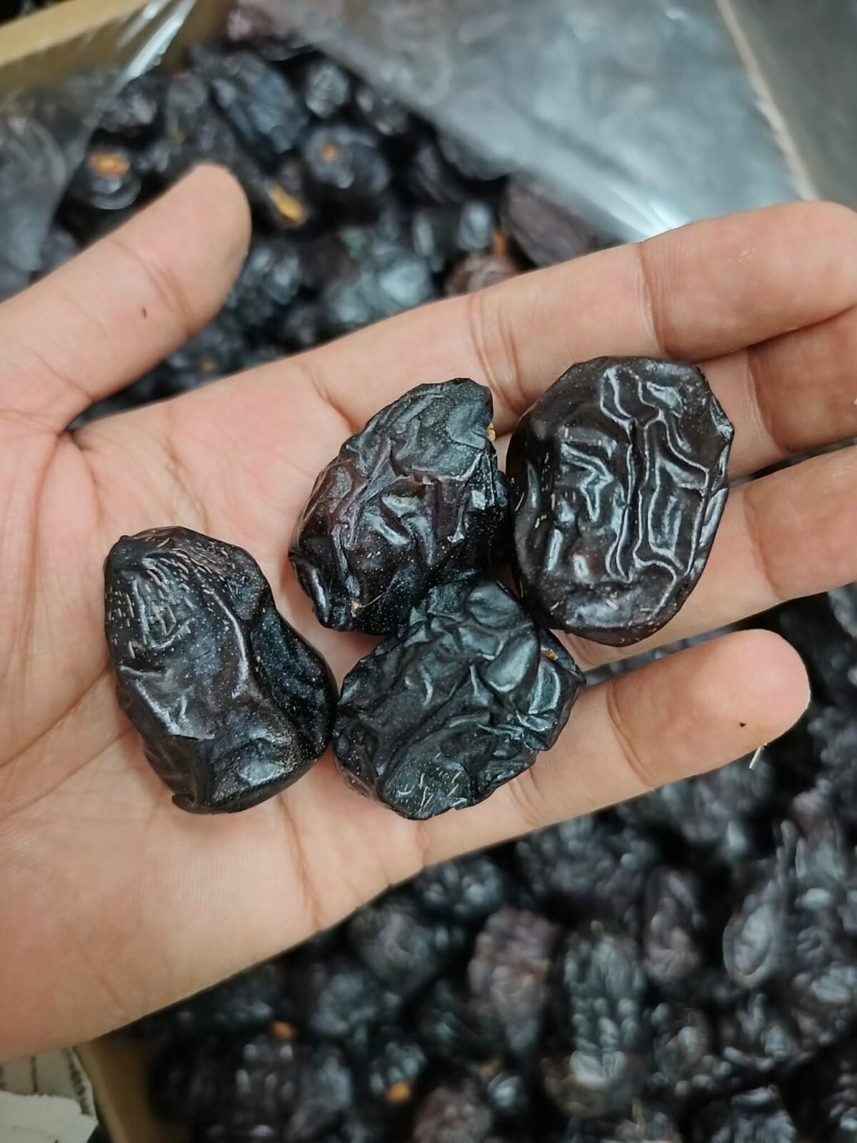 WhatsApp Image 2026-02-09 at 3.11.55 AM