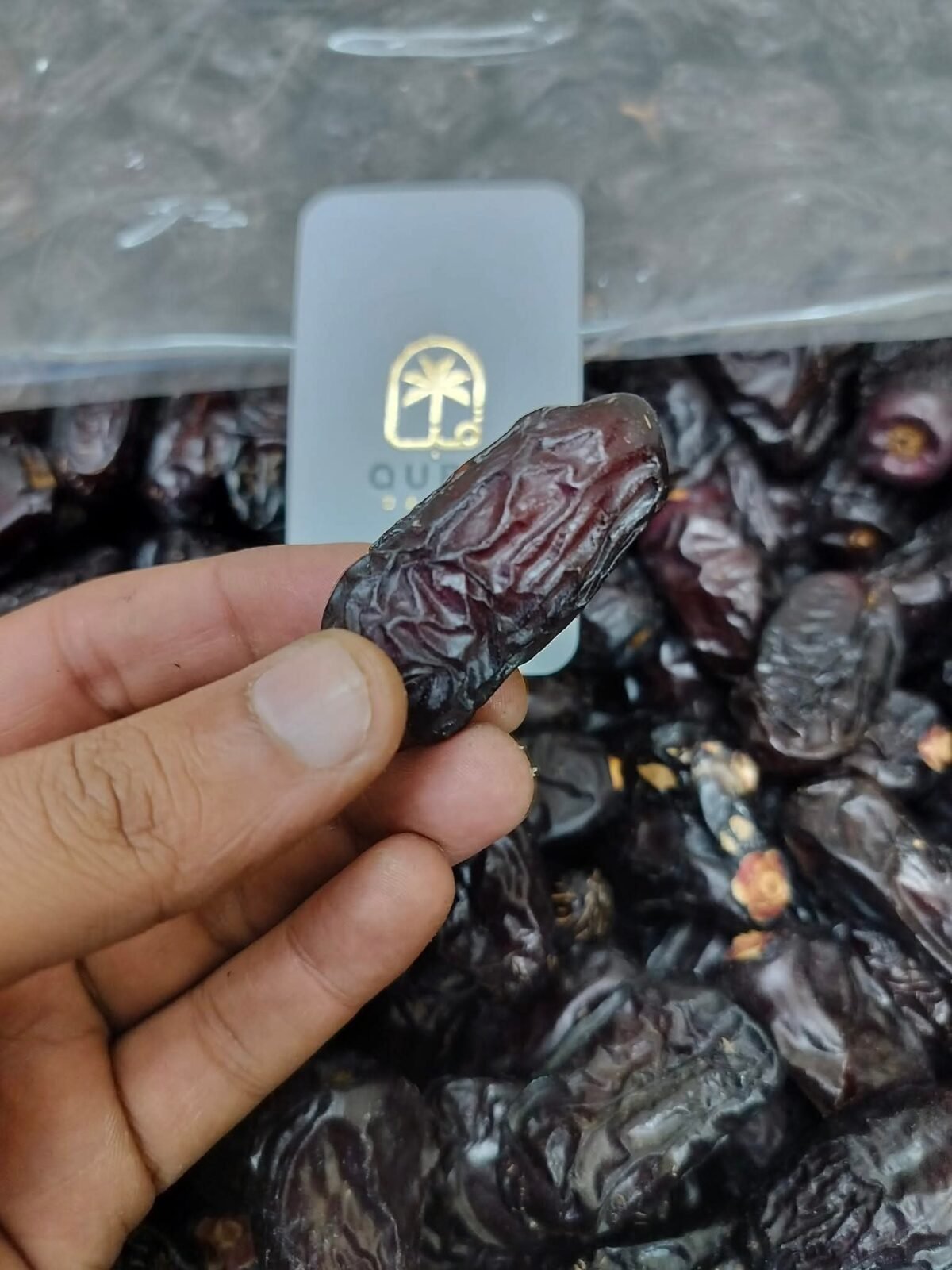 WhatsApp Image 2026-02-09 at 3.12.13 AM (2)