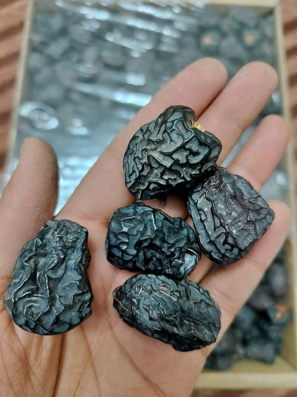 WhatsApp Image 2026-02-09 at 3.12.16 AM (2)