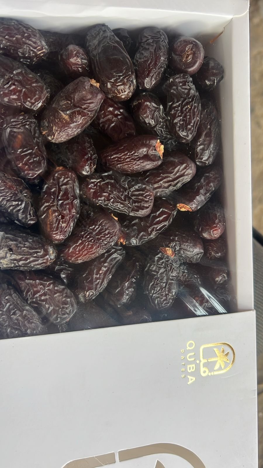 WhatsApp Image 2026-02-24 at 11.31.38 AM (1)